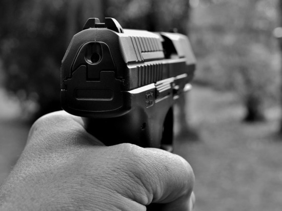 Полицейским в Пскове пришлось стрелять в ходе погони за нарушителем