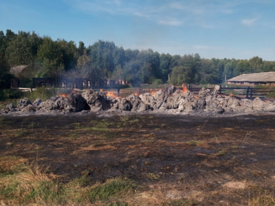 В Шумячском районе сгорело 30 тонн сена