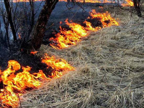В Липецкой области выпали осадки в виде пепла