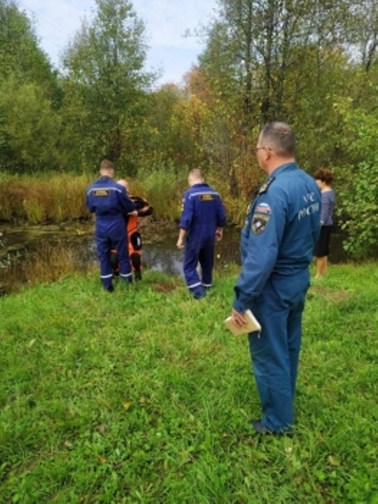 В Шуйском районе обнаружено тело утонувшего мужчины