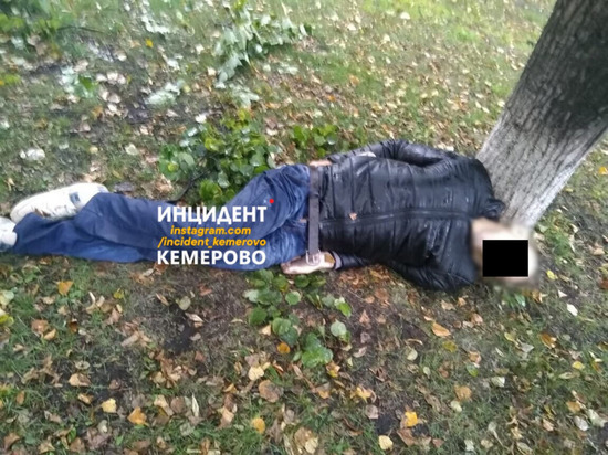 Под деревом в Кемерове обнаружили труп мужчины