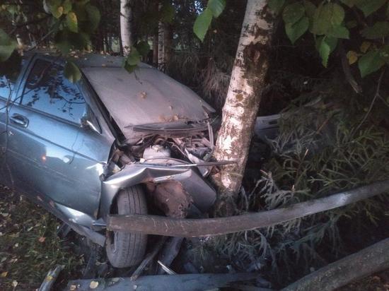 В Чувашии пьяный водитель врезался в дерево, пострадали трое