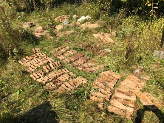 Сотрудники УФСБ обнаружили на Смоленщине "схрон" боеприпасов