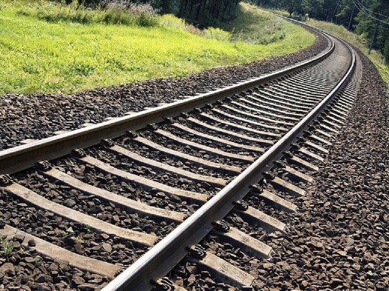 В Тверской области два мужчины хотели сдать на металлолом детали железной дороги