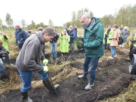 Травников принял участие в акции S7 по высадке деревьев