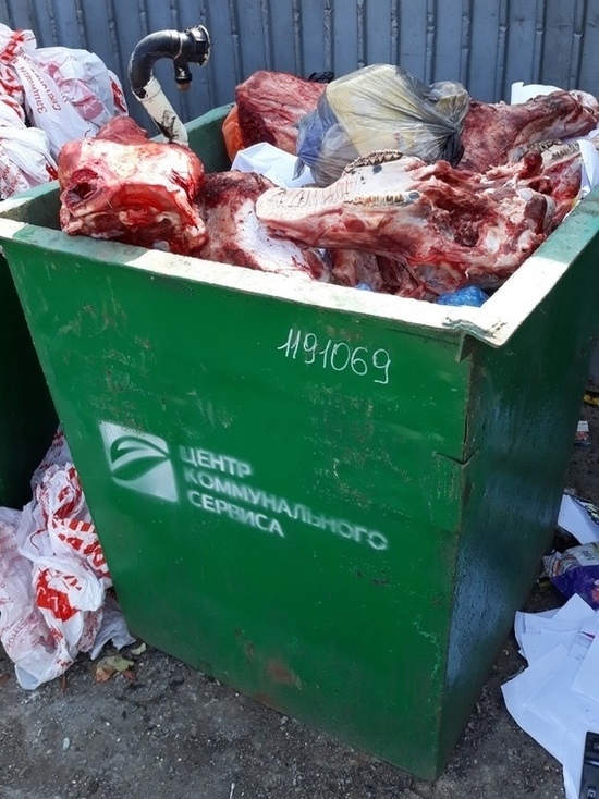 Челябинцы обнаружили в мусорных баках трупы животных