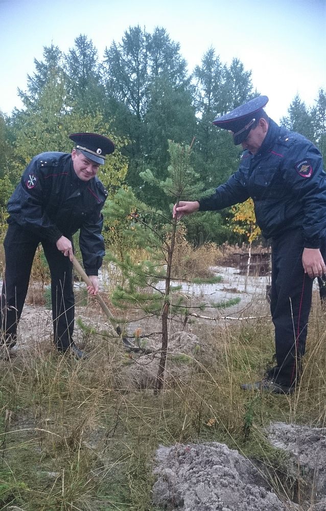 «Живи, лес!» Полицейские из Ноябрьска спасли молодые саженцы