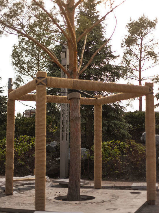 Самый большой в Кузбассе гамак сделают из каната, использованного в «Парке Ангелов»