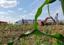 Промежуточный отчет Межгосударственного авиационного комитета (МАК) подтвердил главную причину ЧП, которое произошло 15 августа этого года, когда самолет Airbus A321 с 226 пассажирами на борту аварийно сел на кукурузное поле в районе аэродрома Жуковский