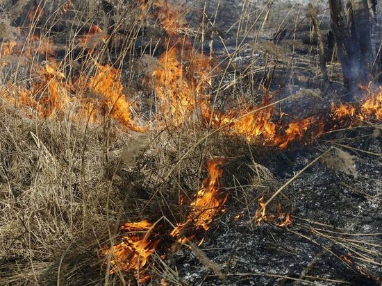 В Липецкой области вспыхнуло несколько пожаров