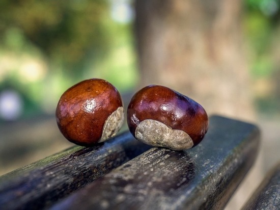 Какой погоды ждать смолянам во вторник