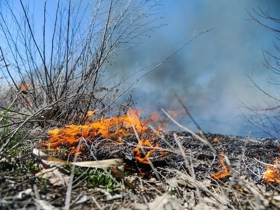 В Волгограде в поселке Ангарский загорелась сухая трава