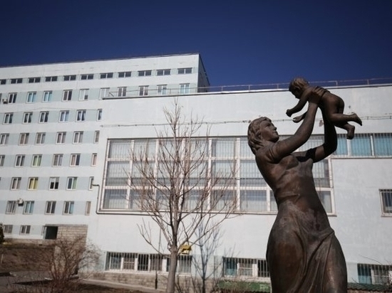 Вопрос о земле под детскую больницу рассмотрят в гордуме Волгограда