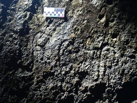 Археологическое открытие: Новые петроглифы обнаружила экспедиция ПетрГУ в Карелии