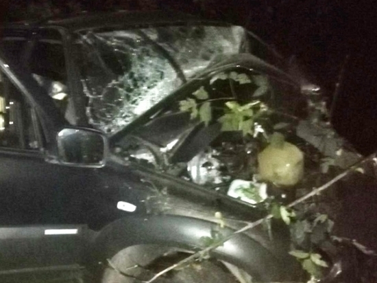 Двое людей погибли в автомобильной аварии в Глазове