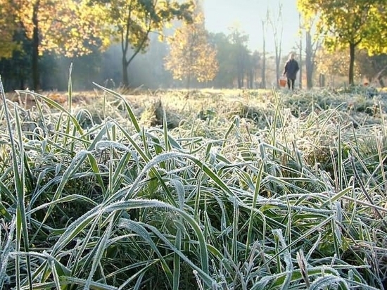 В Хабаровском крае ожидаются первые заморозки