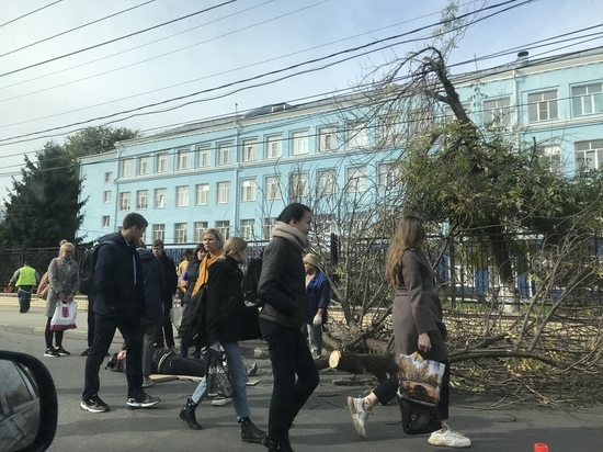 В центре Рязани на мужчину упала ветка