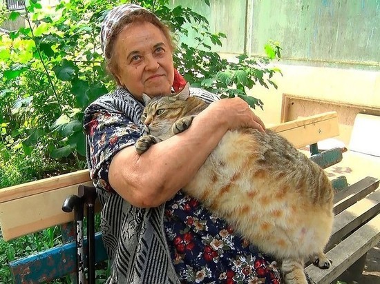 Толстого кота из Бийска три раза пытались украсть