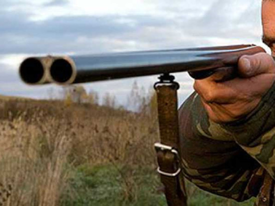 Охотник незаконно застрелил лося в Тверской области