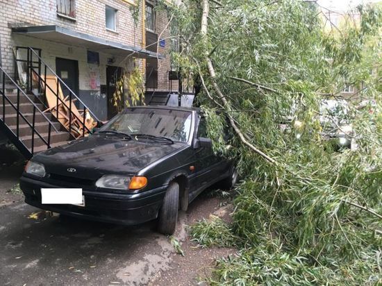 Ураганный ветер в Уфе обрывает провода, валит деревья и заборы