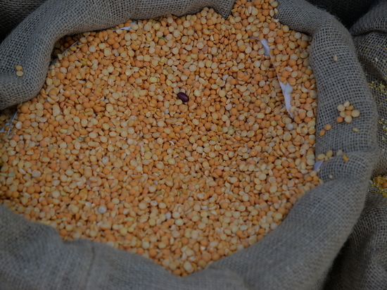 Тульское предприятие закупит органическое зерно на 171, 5 миллиона
