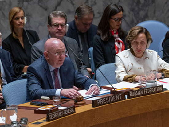 СБ ООН отклонил проект резолюции РФ и КНР по прекращению огня в Идлибе
