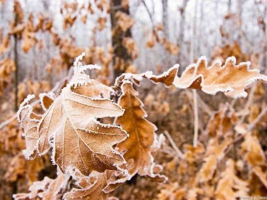 В Ивановскую область придет резкое похолодание
