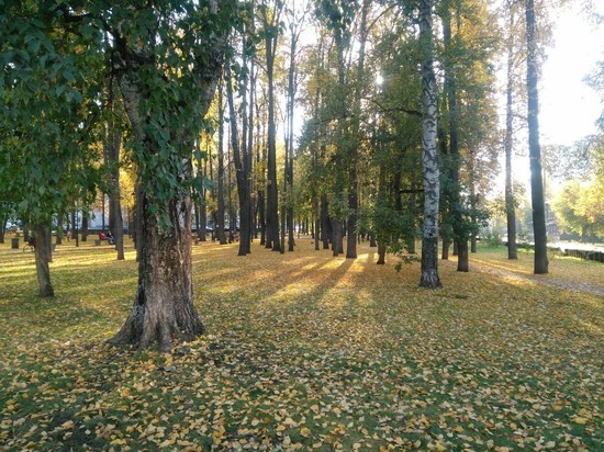 Выходные в Перми будут прохладными
