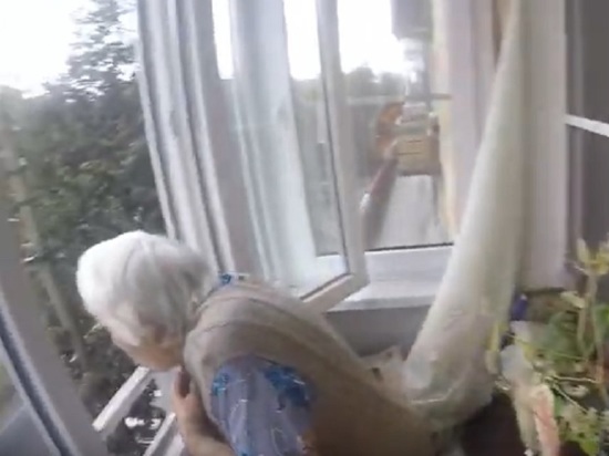 Ярославские спасатели помогли бабушке, которая сама себя заперла на балконе