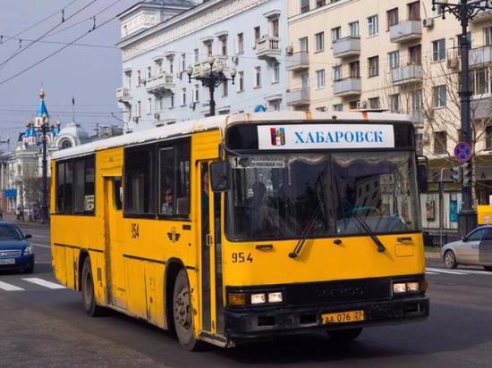 Иностранцам могут запретить работать в пассажирских перевозках в Хабаровске