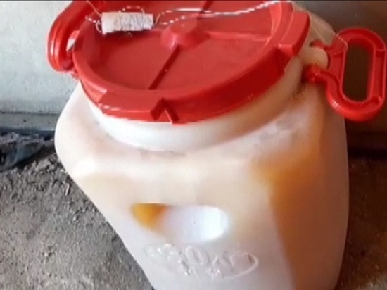 Горький мед: жители Степного украли у родственницы 70 килограммов сладости