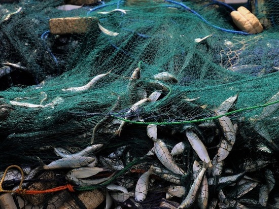 Рыбак-браконьер из Башкирии «отработает» незаконный улов и лишится лодки