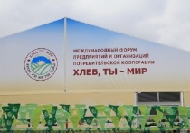 Форум «Хлеб, ты – мир» проходил с 19 по 22 сентября в уникальном месте – этнографическом парке-музее «Этномир» Калужской области