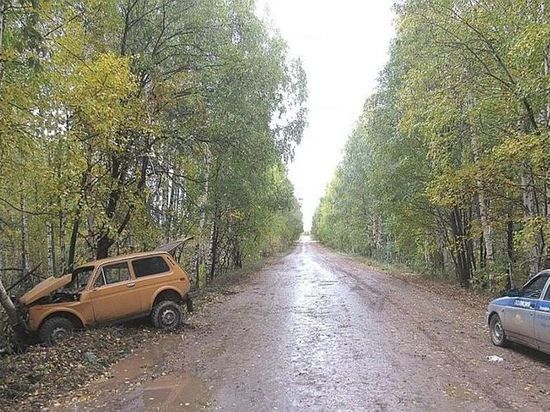 В Башкирии пьяный водитель без прав врезался в дерево – пострадала пассажирка
