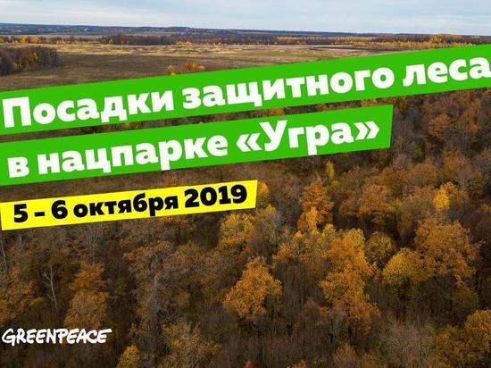 Greenpeace посадит лес в Калужской области