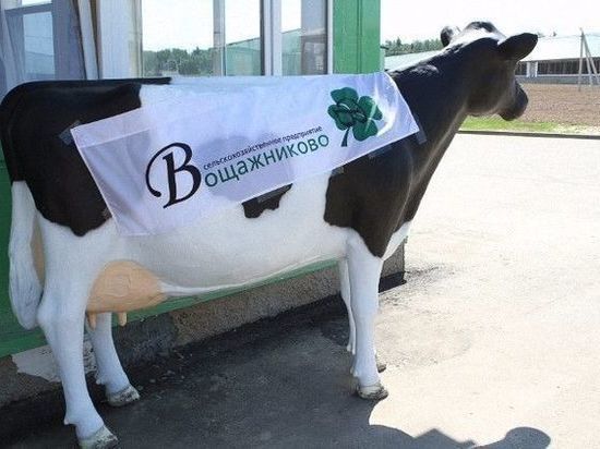 Крупнейший мясо-молочный комплекс Ярославской области объявлен банкротом