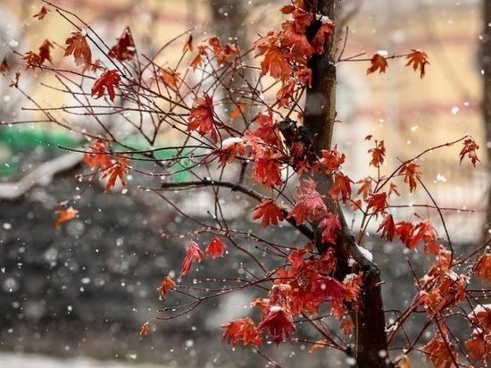 В Челябинской области до +9, дожди, мокрый снег, ветер