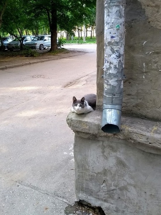 Рязанец превратил страницу в «Фейсбуке» в фотовыставку