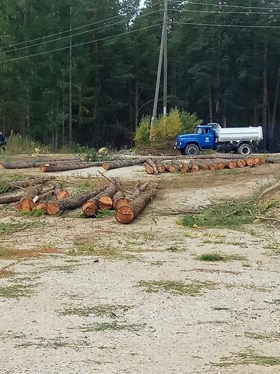 Деревья, посаженные в честь погибших на войне, помешали модернизации ФОКа