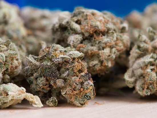 У жителя Бурятии нашли 2 кило марихуаны и гашиша