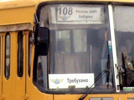 В Рязани планируют пустить до Солотчи автобус-экспресс