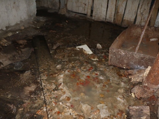Жительница Надыма пожаловалась на залитый фекалиями подвал дома