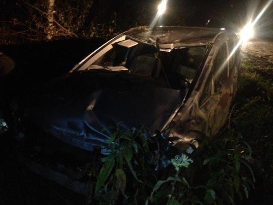 Два автомобиля в Удмуртии столкнулись с лосем, выскочившим на дорогу