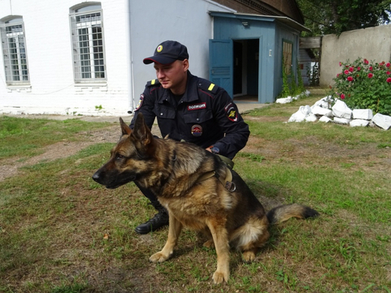 Полицейские собаки нашли наркотики у двух жителей Канска
