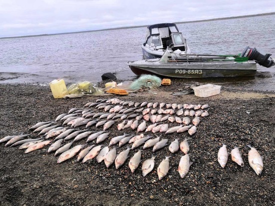 Браконьеры на Ямале наловили рыбы на 1,1 млн рублей