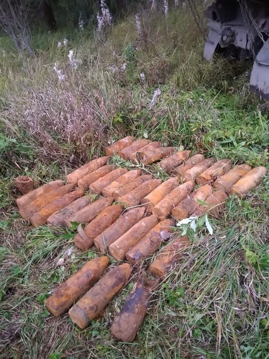 Эхо войны: в Ярославской области нашли 33 боевых снаряда