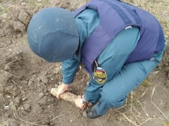 Бомбы в парке: в Керчи за сутки нашли 7 боеприпасов времен ВОВ