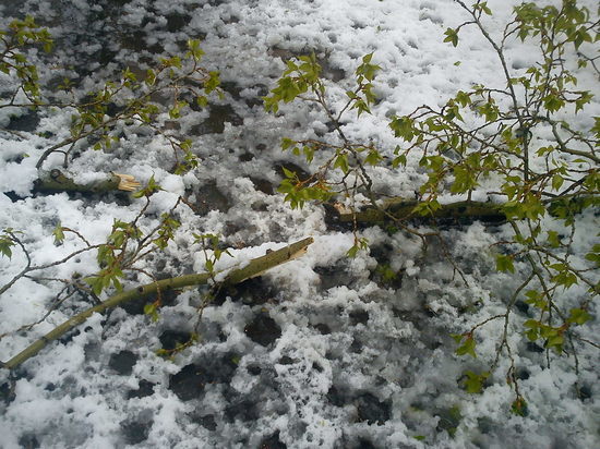 Стало известно, когда в Барнауле выпадет первый снег