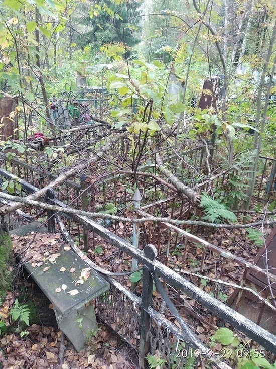 Чурилковское кладбище в Ярославле завалило упавшими деревьями