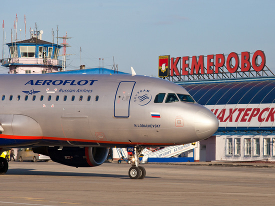 Диких птиц в кемеровском аэропорту уничтожили ради безопасности полётов